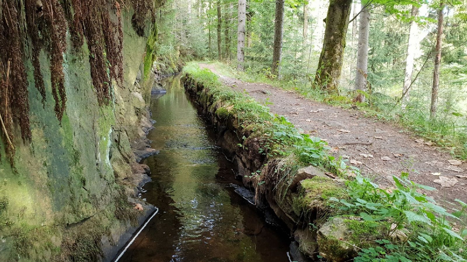 Grüner Graben