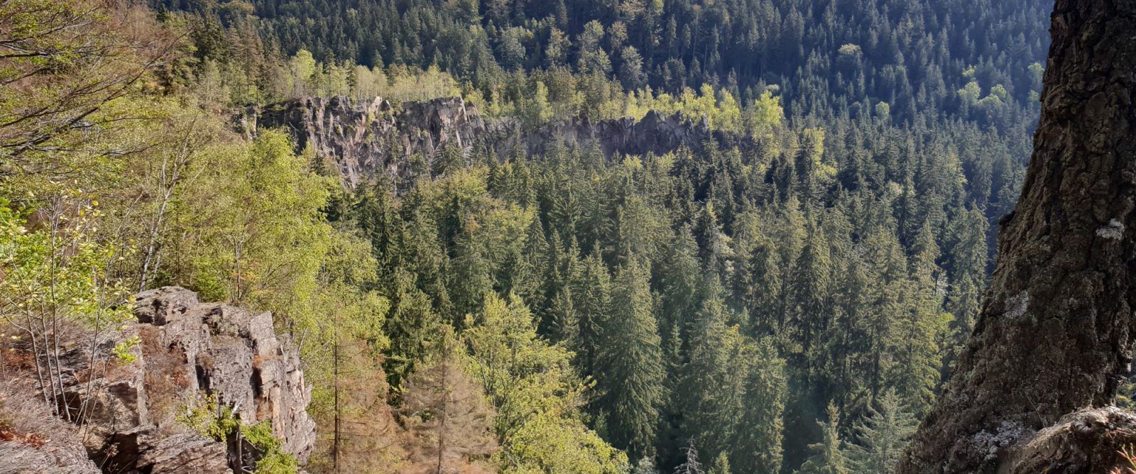 Ringmauer Schwarzwassertal